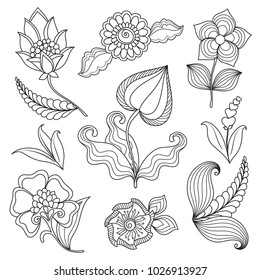 Set of floral elements. The  magic drawn  flowers and plants for decoration