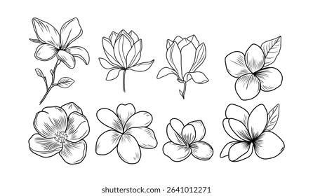 set of floral elements. Magnolia. Vector set of hand drawn flowers. Detailed floral sketches featuring blossoms with line art style. For prints, coloring pages, tattoos, wedding invitations.