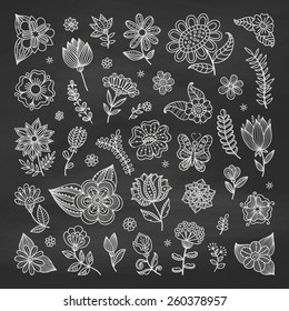 Set of floral elements on the chalkboard. Chalk elements for design, wedding decor. Vintage background. Sketch flowers and leaves. Greeting card. Vector illustration.