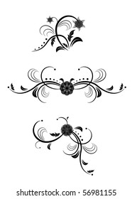 set of floral elements on white