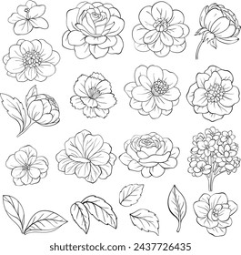 Conjunto de elementos florales. Contorno de flores y hojas. Arreglos vectoriales para el diseño de la tarjeta de felicitación