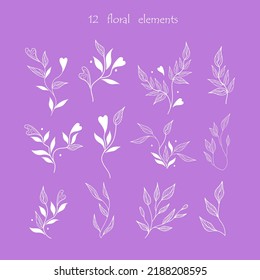 Set of floral elements. Outline leaves for your designs and logos. Vector illustration.