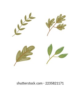 Set of floral elements part 1. Flower and green leaves. Winter branches and leaves. Hand drawn floral elements.