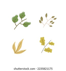 Set of floral elements part 5. Flower and green leaves. Winter branches and leaves. Hand drawn floral elements.