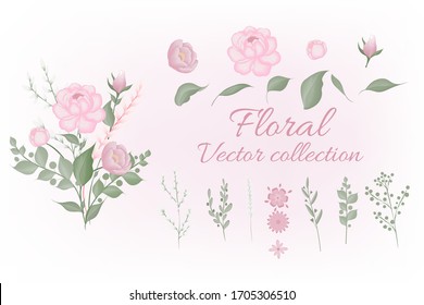 Conjunto de elementos florales. Flor rosa, hojas verdes. plantas de jardín. Establecer: hojas flores, ramas, hierbas y otros elementos naturales. Concepto de boda. Afiche floral, invitar.