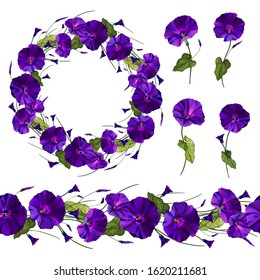 Set of floral elements purple flowers morning glory on a stalk with green leaves, wreath,horizontal seamless border.Isolated on white.Hand drawn. For design, greeting cards. Vector illustration.