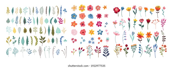 Set of floral elements. Romantic flower collection with flowers, twigs, leaves, herbs and berries. Vector design isolated on white background.