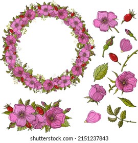 A set of floral elements. Rosehip flowers, rose hips. Rosehip wreath. Hand drawn flowers for invitation, wedding or postcard. EPS 10 vector illustration.
