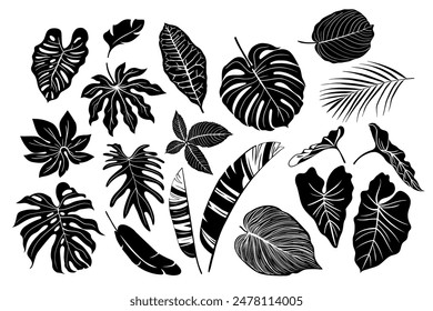 Set of floral elements and silhouettes of tropical leaves, ornamental patterns for using in invitation cards, ornaments, wedding invitations, etc. Handmade drawing.