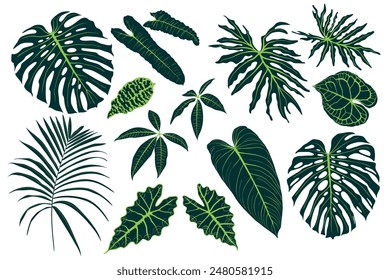 Set of floral elements and silhouettes of tropical leaves, ornamental patterns for using in invitation cards, ornaments, wedding invitations, etc. Handmade drawing.