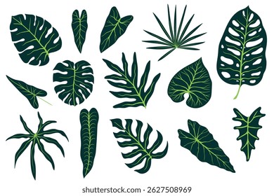 Set of floral elements and silhouettes of tropical leaves, ornamental patterns. Handmade drawing