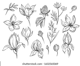 Set of floral elements. Sketches of flowers and plants to create different designs. Hand drawn outline converted to vector