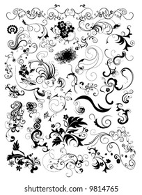 set of floral elements vector