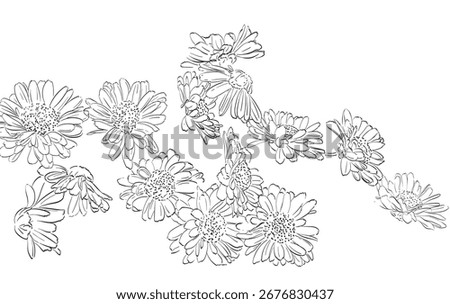 Set of floral elements. Vector illustrations for beauty, fashion, natural and organic products, spa and wellness, wedding and events, environment. Botanical hand drawn line elements.