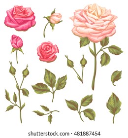 Set of floral elements with vintage roses. Decorative retro flowers. Objects for decoration wedding invitations, romantic cards.