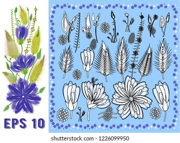 Set of Floral Elements With Violet Daisy-Like Flowers,Herbs, Leaves and Buds. Vector Drawn Botanical Flora for Decoration, Wedding Invitation, Patterns. Eps10 illustration. Vector Drawn illustration.