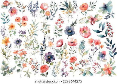 Set of floral elements. Wedding concept - flowers. Floral poster, invitation. Vector arrangements for greeting cards or invitations