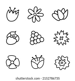 Set of floral elements.  Wildflowers collection in doodle style. Design elements for cards, invitations, banners, stickers, postcards, coloring books and books. Vector illustration
