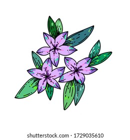 Set of floral elements.Beautiful romantic flower collection , leaves, floral bouquets, flower compositions