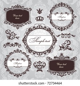 set of floral frame and vintage design elements