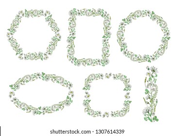 Set of floral frames with field flowers. Vector design elements.