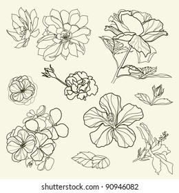 Set of floral freehand design elements