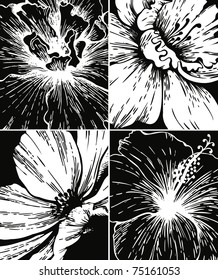 Set of floral graphic backgrounds