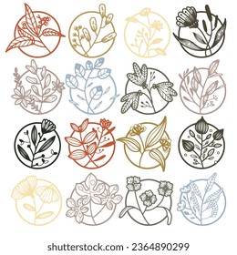  set of floral graphic elements. Illustrations of hand drawn plants and flowers ,Illustration Vector