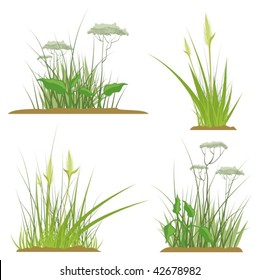 A set of floral grass design elements, vector illustration series.