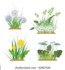 A set of floral and grass design elements, vector illustration series.
