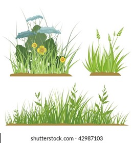 A set of floral and grass design elements, vector illustration series.