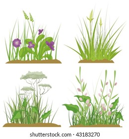 A set of floral and grass design elements, vector illustration series.