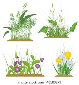 A set of floral and grass design elements, vector illustration series.