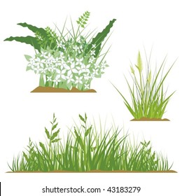 A set of floral and grass design elements, vector illustration series.
