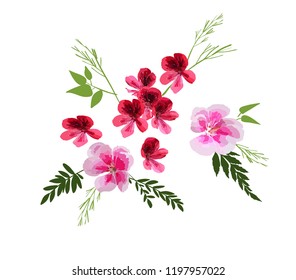 Set of Floral Greeting card with different garden flowers, botanical natural Illustration isolated on white backgroundn hand drawn style.