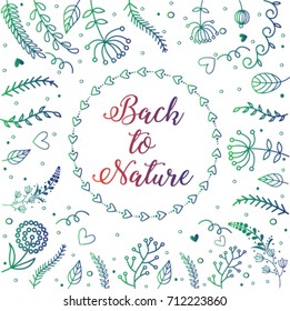 Set of floral hand drawn border