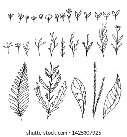 Set floral hand drawn elements for frames