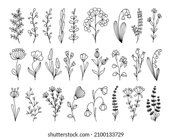 Conjunto de elementos dibujados a mano floral. Ramas vectoriales con hojas, flores, hierbas para decorar tarjetas de diseño, web. Isolación de arte de doodle simple de línea delgada. Verdor forestal, helecho, eucalipto.
