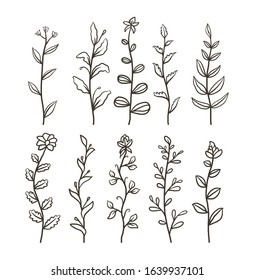 Set of floral, hand drawn line art vector illustration