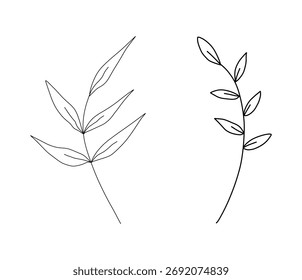 Conjunto de Vector dibujado a mano floral