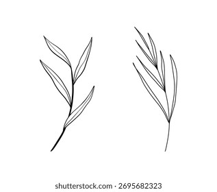 Set of floral hand drawn vector