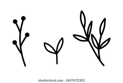 Set of floral hand drawn vector