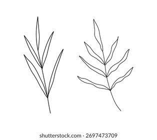 Set of floral hand drawn vector