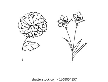 Set of floral hand-drawn line art 