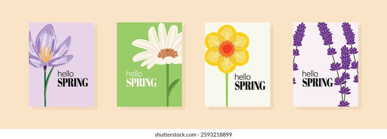 Set of floral Hello Spring card templates with crocus, camomile, narcissus, and lavender. Perfect for spring designs