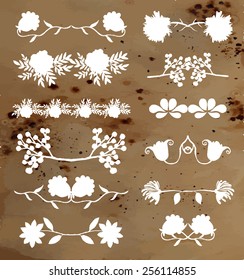Set of floral and herbal elements on old paper texture, vector. 