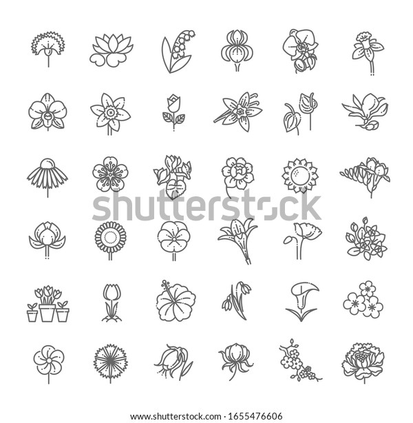Set of floral icon in flat\
design