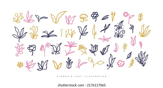 Set of Floral Illustrations. Flower and Leaf Illustration for Poster, Wedding, Greeting Card and Invitation Design