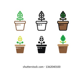 Set floral plants and blooming cactus in pots isolated with line, flat and glyph icon styles on white background. vector illustration
