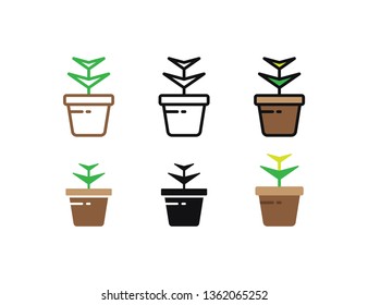 Set floral plants and blooming cactus in pots isolated with line, flat and glyph icon styles on white background. vector illustration